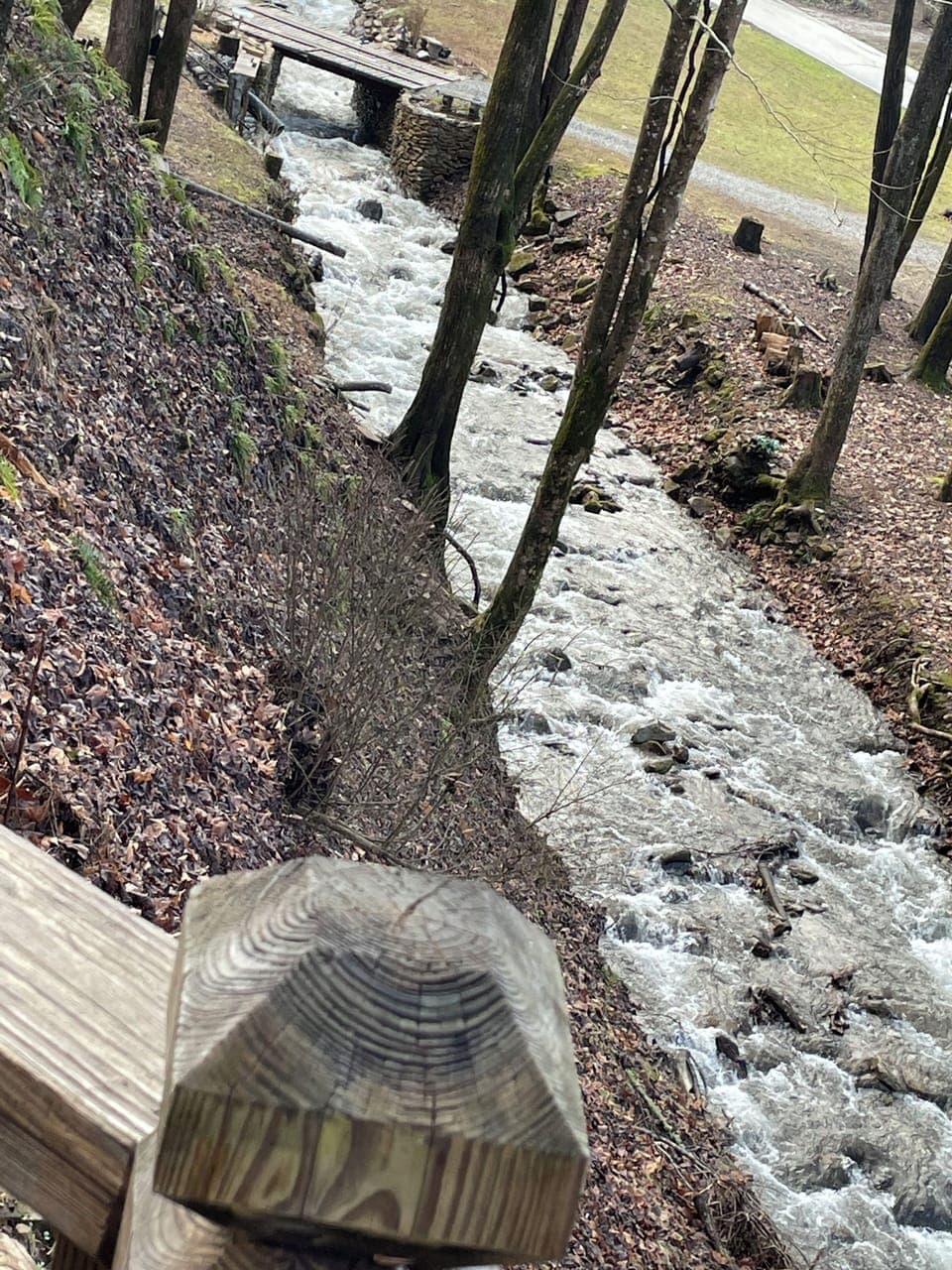 Creek view