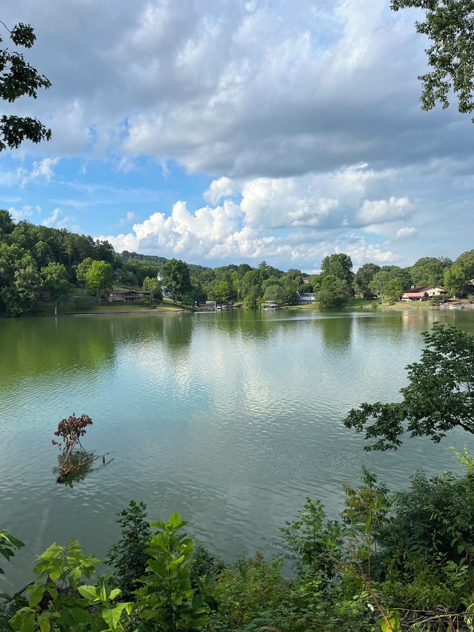 Stunning lake view from the propety.
