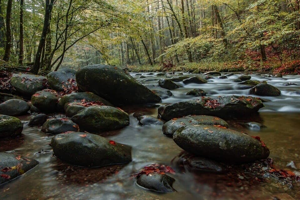 Hike scenic trails, spot wildlife, and enjoy nature's tranquility in the Great Smoky Mountains ⎯ just a short drive away.