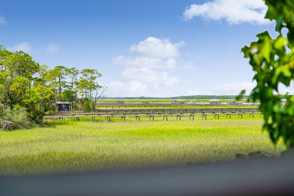 Marsh View