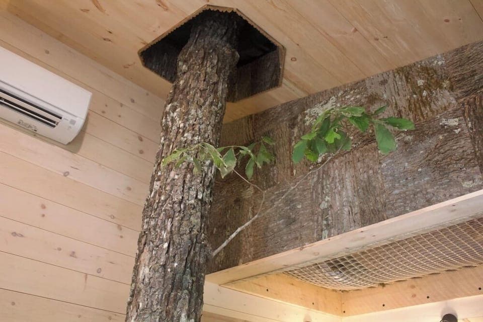 Basic Tree House, Mountain View | Living area