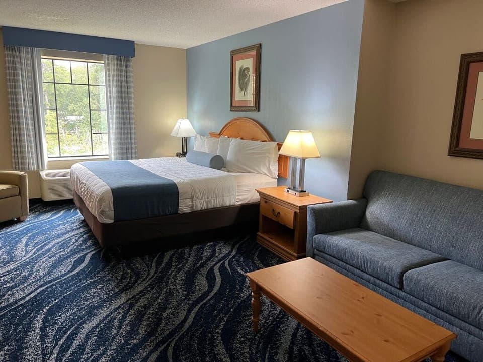 Hypo-allergenic bedding, desk, laptop workspace, blackout drapes