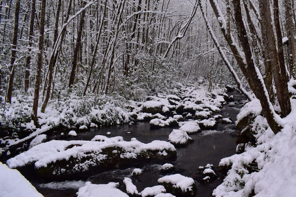 Snowshoeing