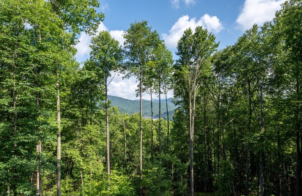Heaven Sent Lakeview Cabin, 4 Bedrooms, Mountainside | Balcony view