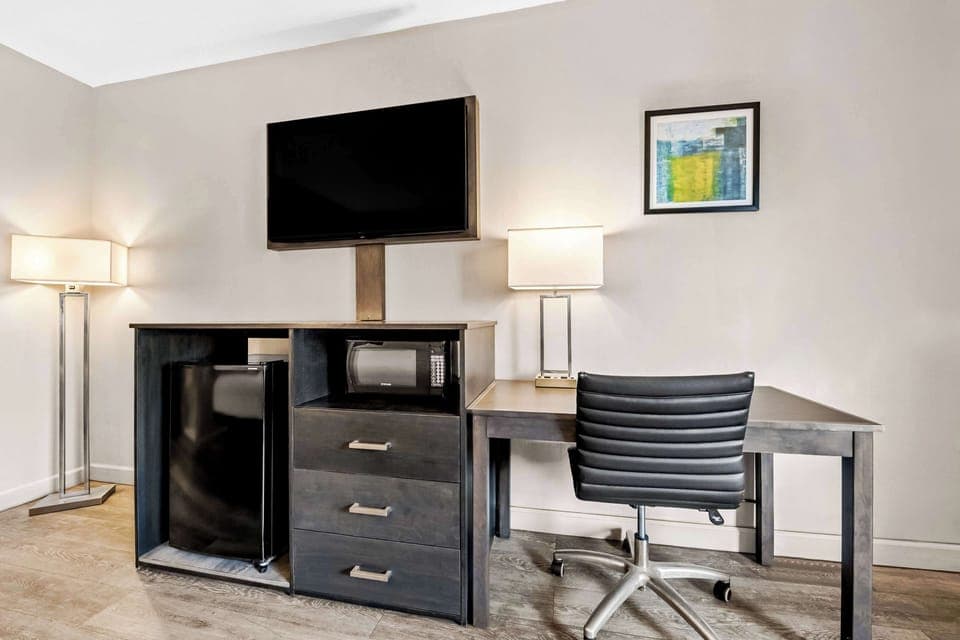 Standard Room, 1 King Bed, Non Smoking, Refrigerator & Microwave (Pet Friendly) | In-room safe, desk, laptop workspace, iron/ironing board