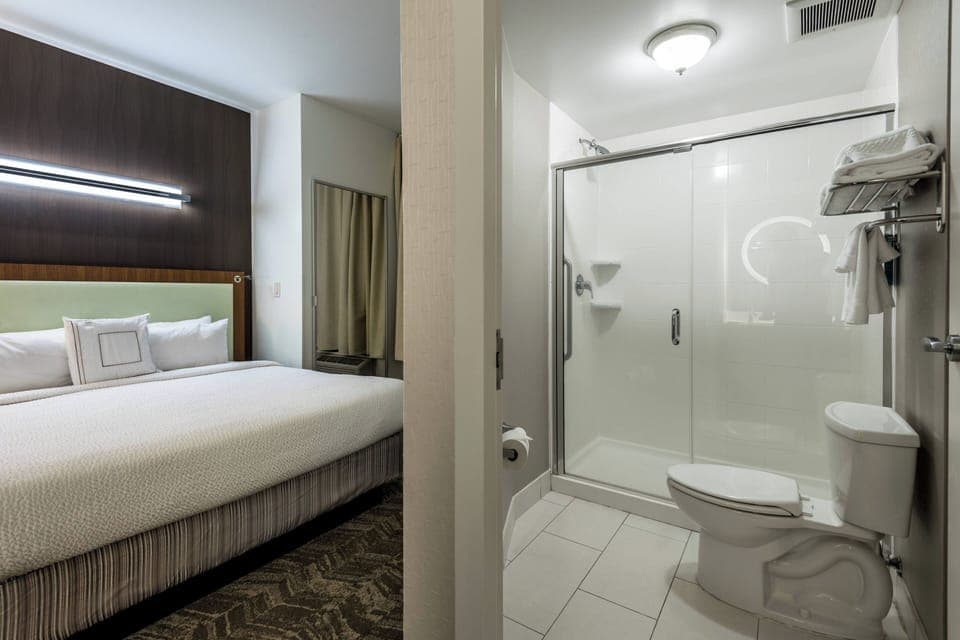Studio, 1 King Bed with Sofa bed | Desk, iron/ironing board, free cribs/infant beds, free WiFi