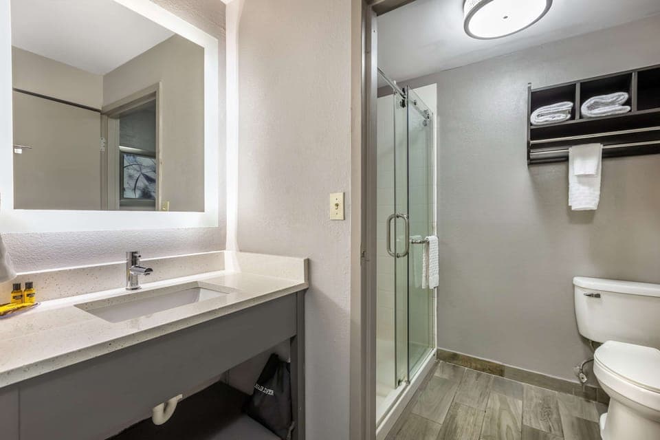 Standard Room, 1 King Bed, Non Smoking, Refrigerator & Microwave (Shower Only) | Bathroom | Free toiletries, hair dryer, towels