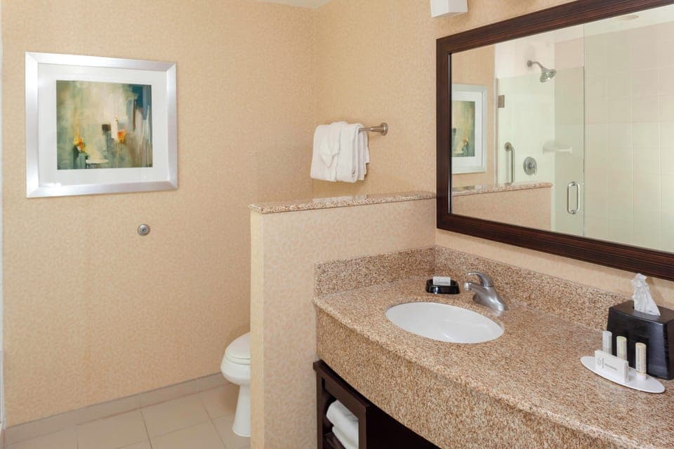 Shower, free toiletries, hair dryer, towels