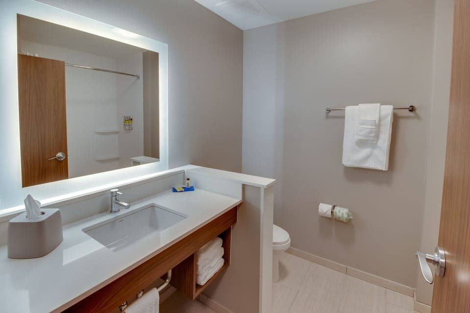 Standard Room, 1 King Bed | Bathroom | Hair dryer, towels, soap, shampoo