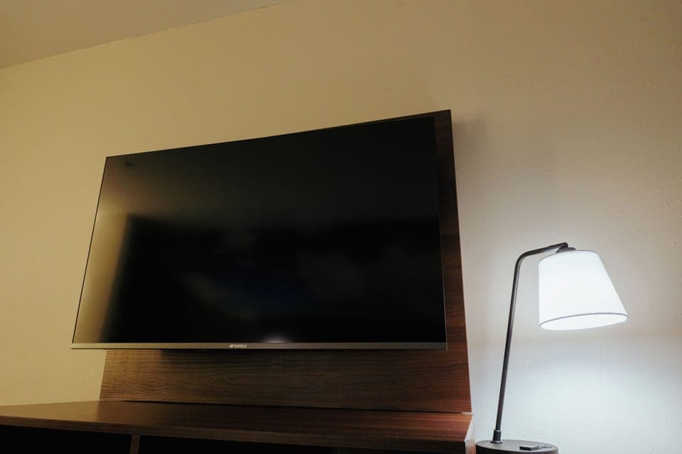 Television