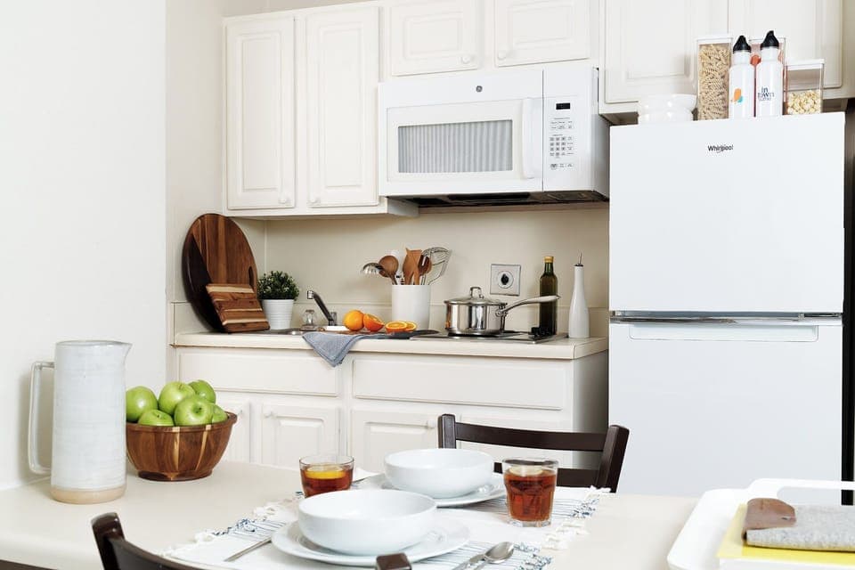 Full-size fridge, microwave, stovetop, freezer