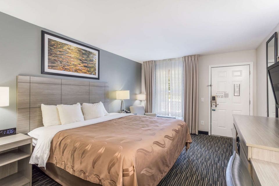 Room, 1 King Bed, Accessible, Non Smoking (Upgrade, Roll-In Shower) | Desk, laptop workspace, blackout drapes, iron/ironing board