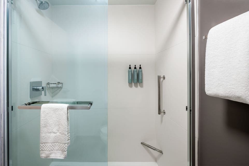 Hair dryer, towels, soap, shampoo
