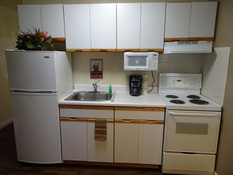 Full-size fridge, microwave, oven, stovetop