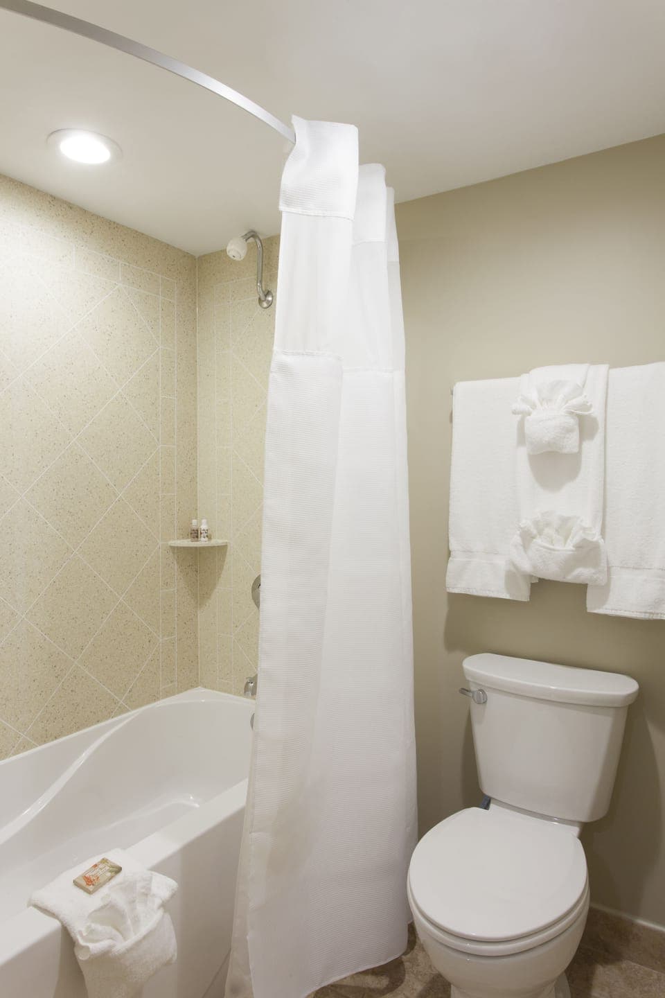 Combined shower/tub, free toiletries, hair dryer, towels