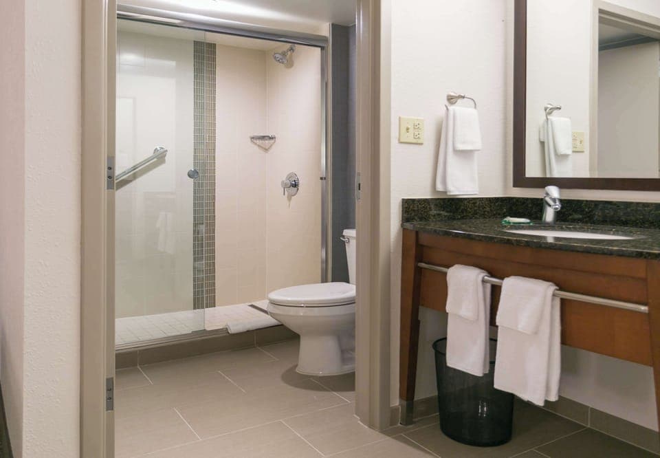 Designer toiletries, hair dryer, towels