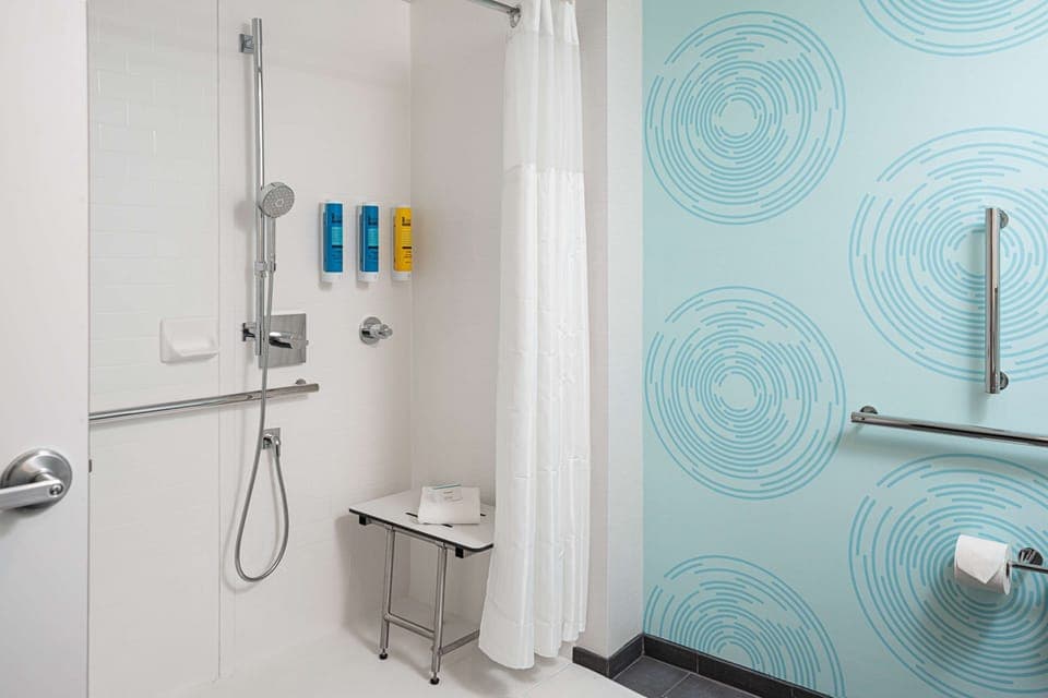 Room, 1 King Bed, Accessible (Roll-In Shower) | Bathroom shower