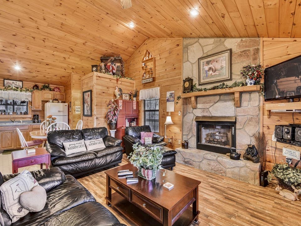 Living Room Area