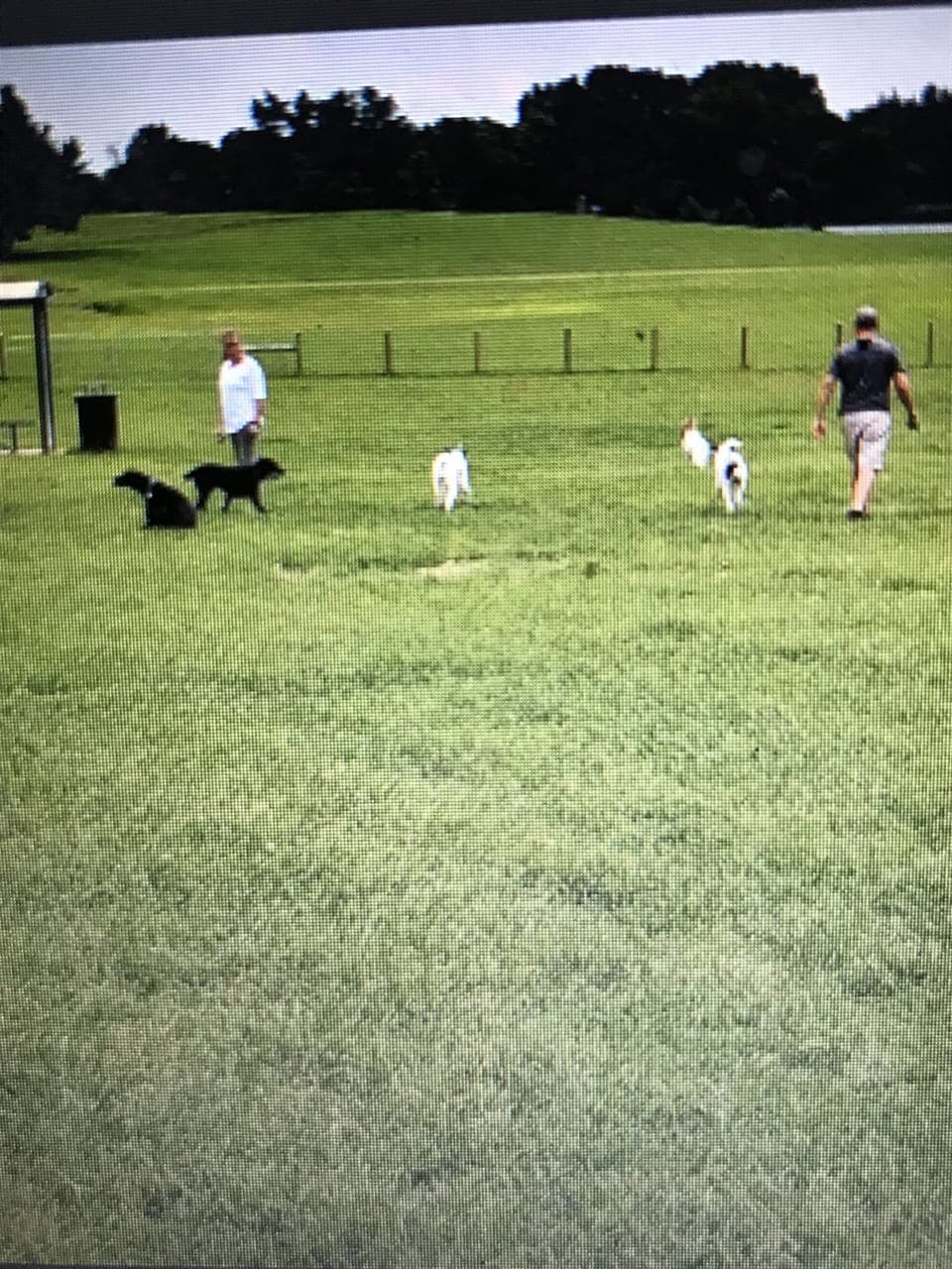 Pet-friendly