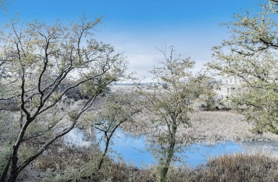 Marsh View