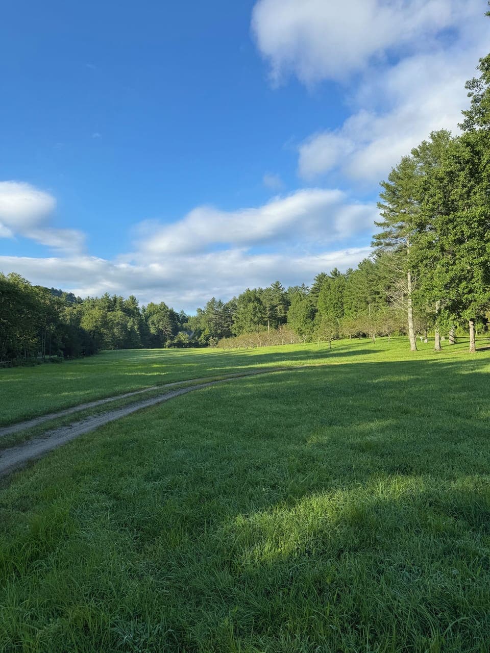 Front pasture