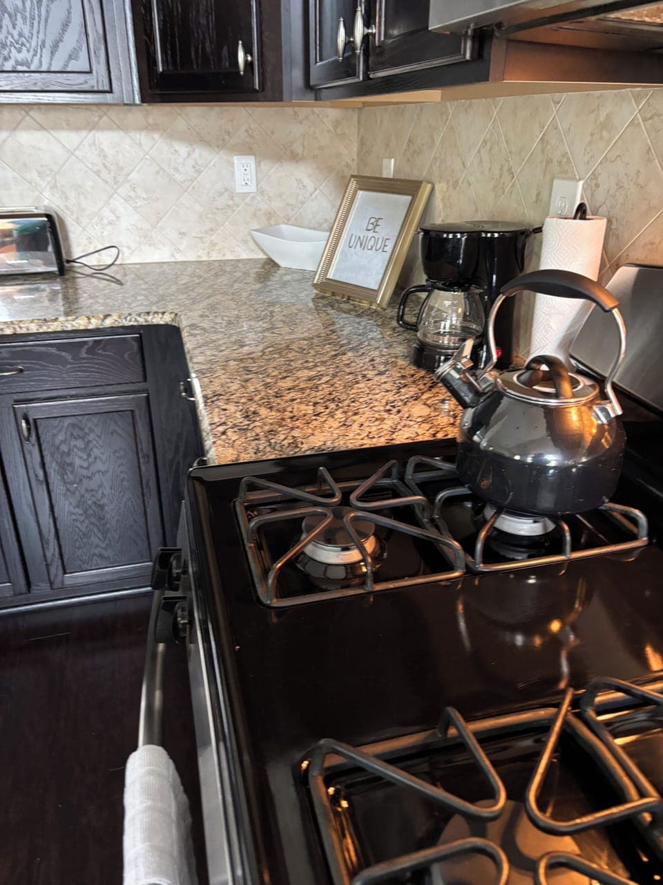 Kitchen gas stove