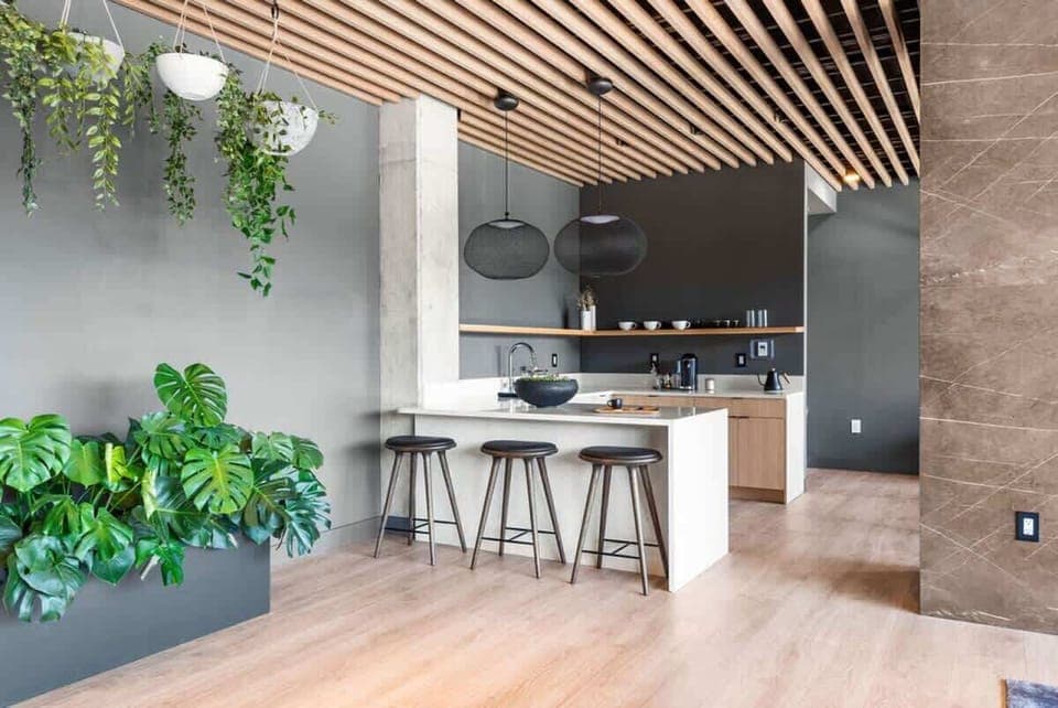 Lobby with real plants,  island seating and coffee station every morning except Tuesday and Wednesday