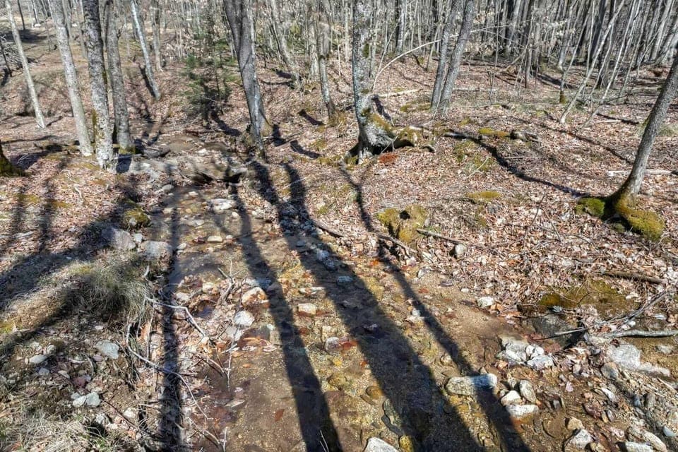 Flowing Creek