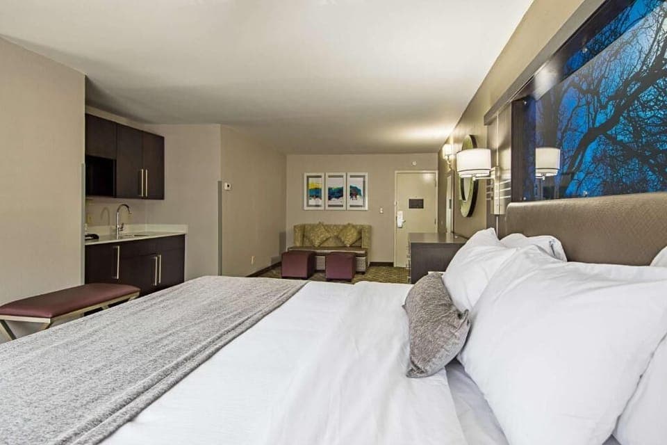 Unit with 1 King size bed.