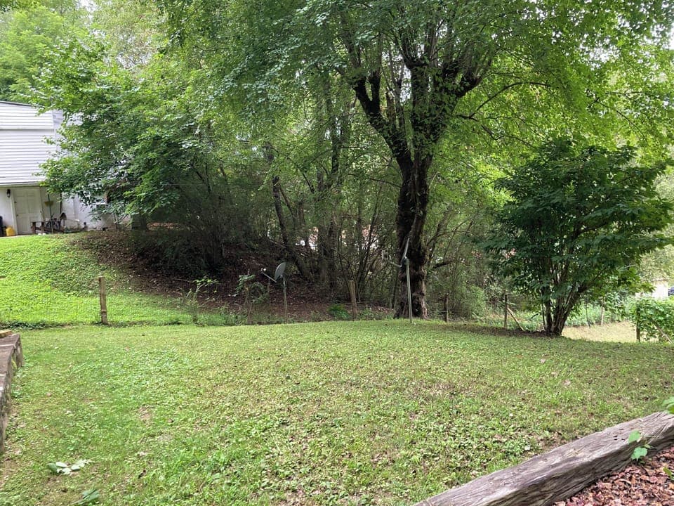 Front Yard