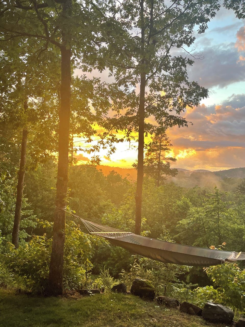 View from back deck