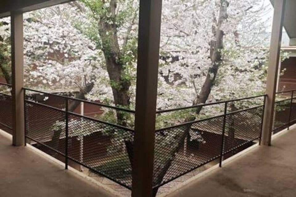 Courtyard at Door Entrance
