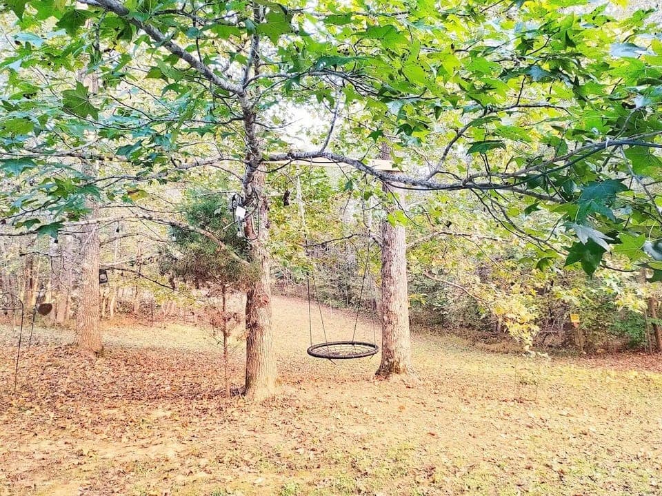 Tire Swing