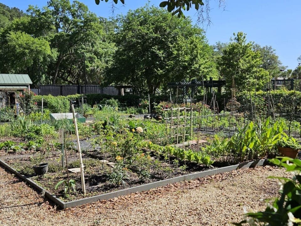 Habersham Garden