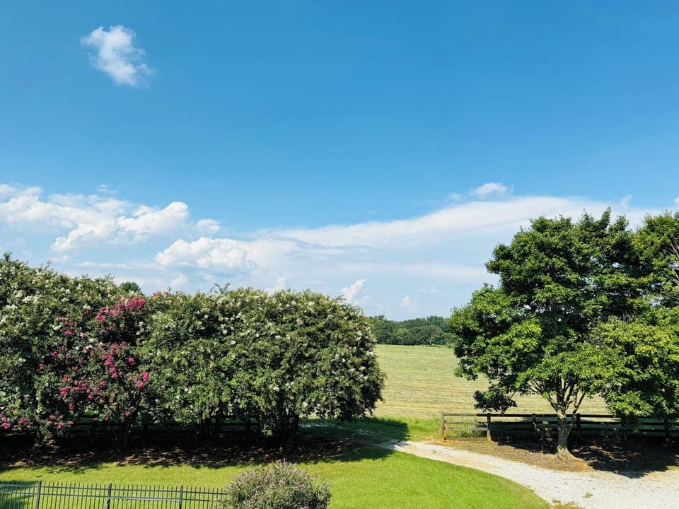 Wide open country views that make the property feel peaceful and secluded