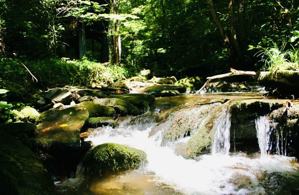 Roaring Creek