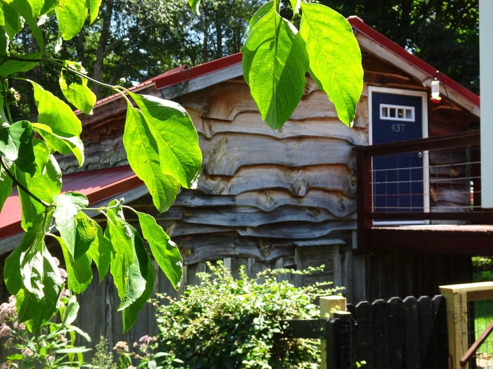 Exterior in summer
