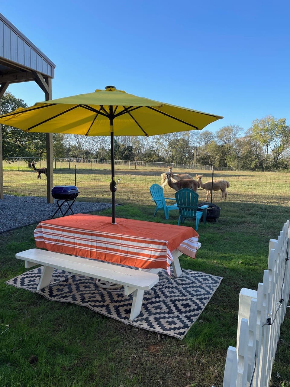 picnic area, firepit with chairs, and outdoor grill