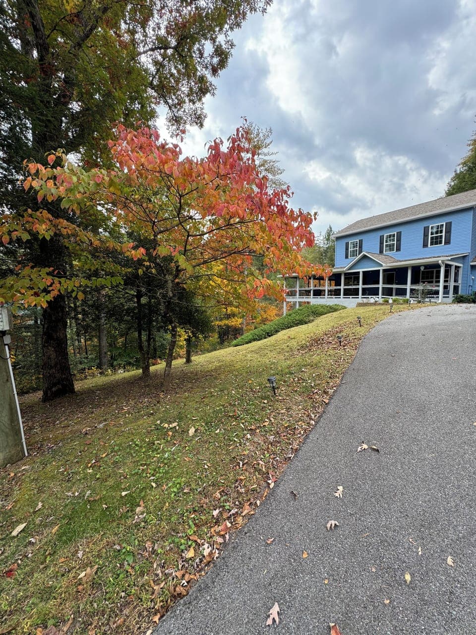 Driveway to the house 