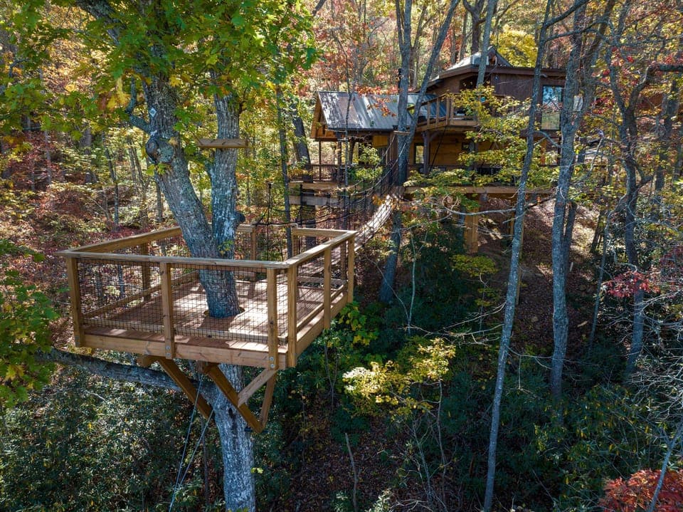 Hylo Treehouse--12