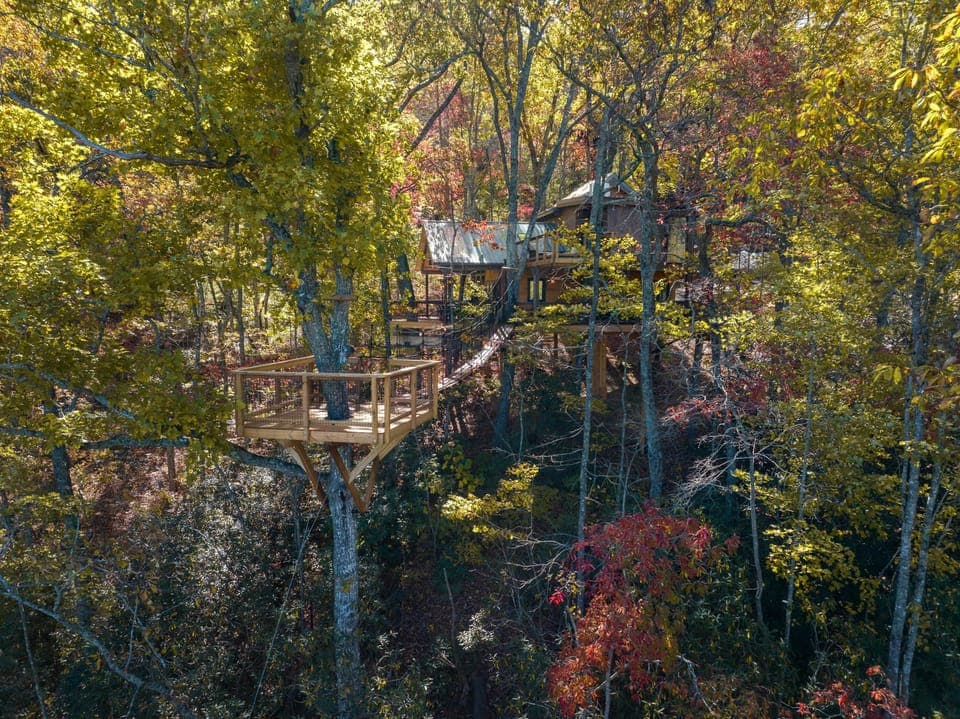 Hylo Treehouse--11