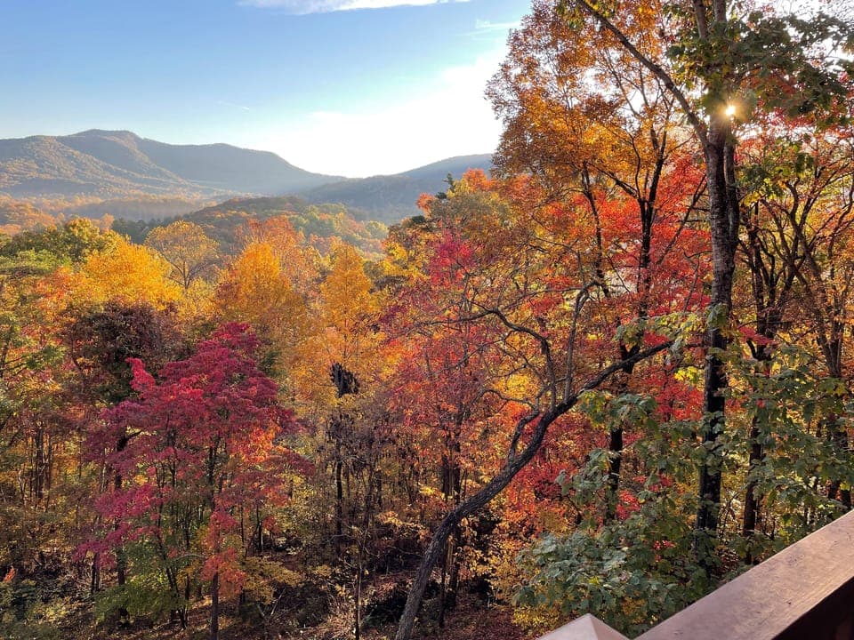 View from property