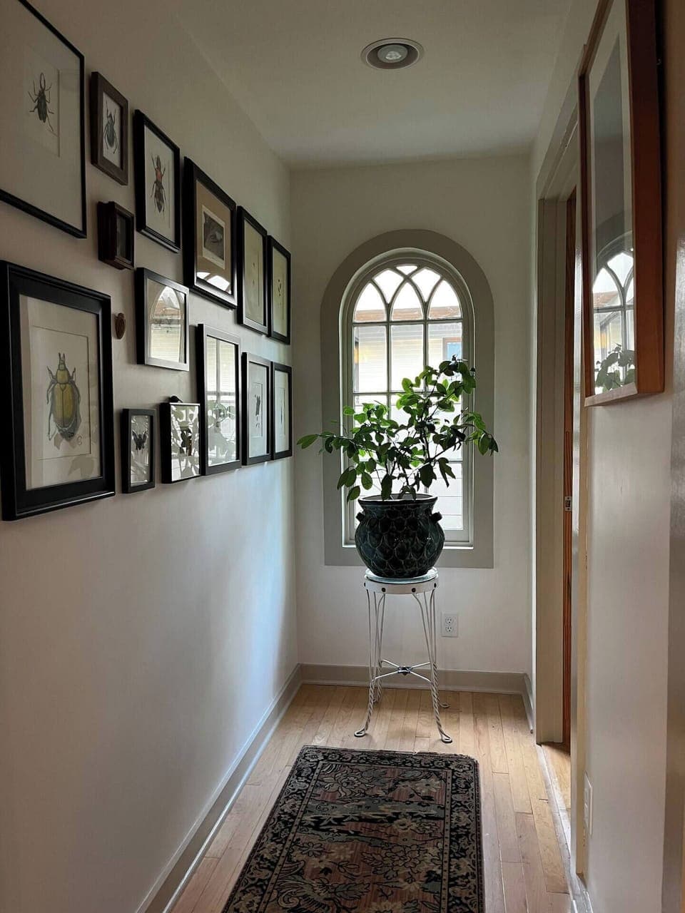 Back hallway that leads to the guest bedroom.