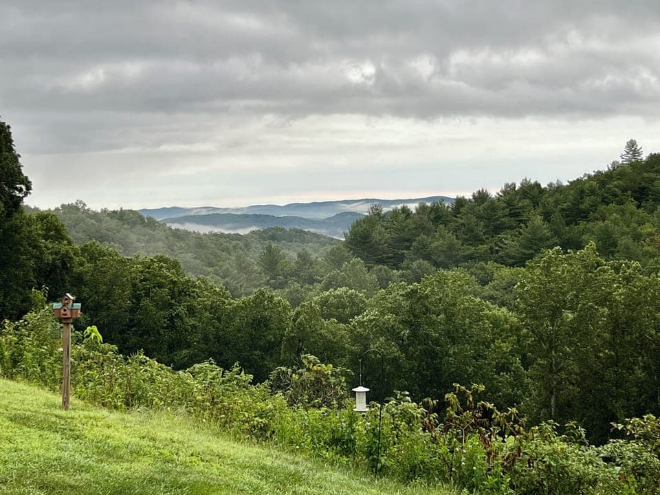 View from property