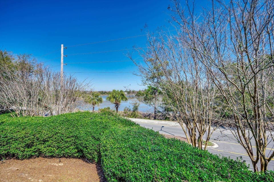 View of the saltwater marsh