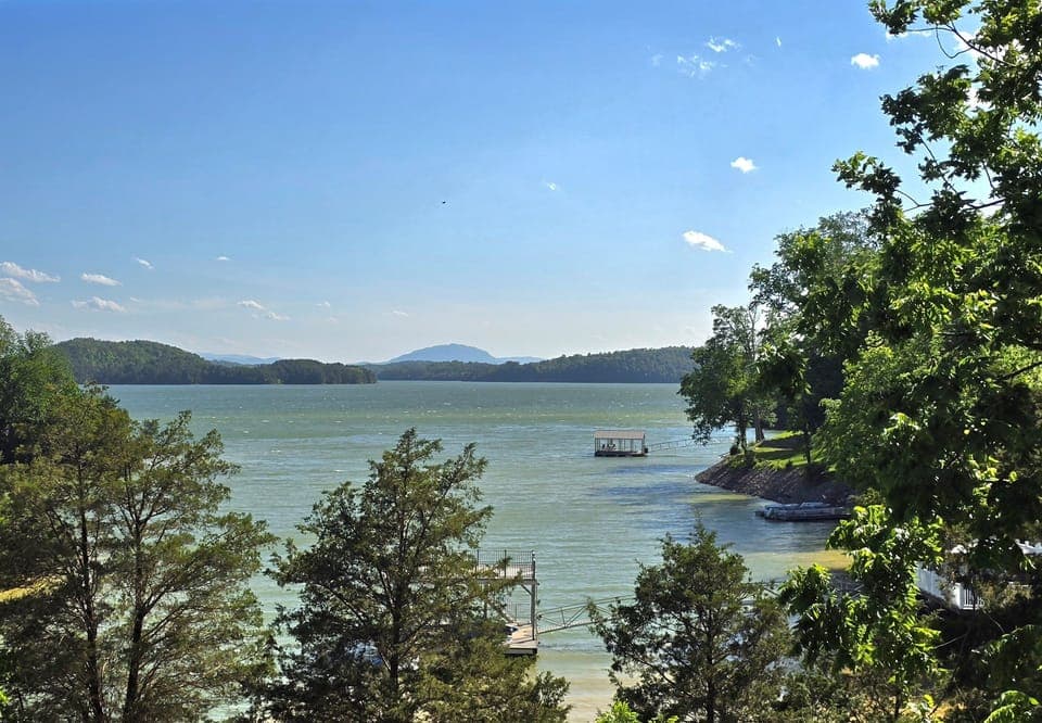 View from Deck