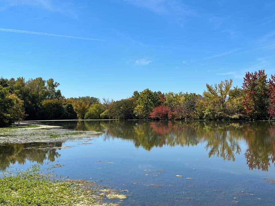 Memorial Park in Hendersonville.  Fishing, walking, playgrounds, duck feeding…