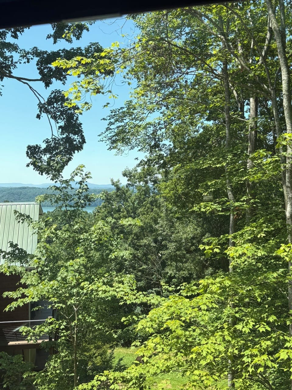 View from bedroom