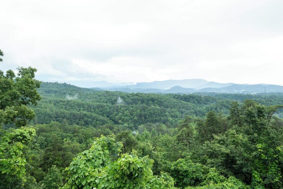 TennesseeLodge_149