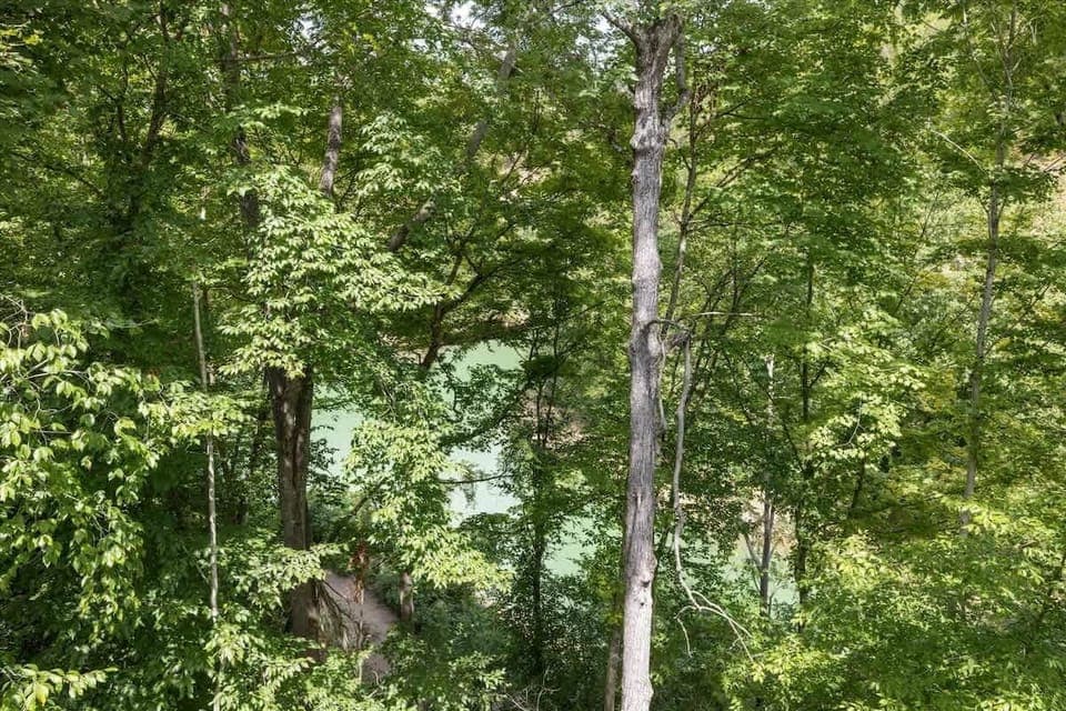 Scenic Retreat: Unwind amidst lush trees with tranquil river views right outside your window!